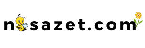 nisazet logo