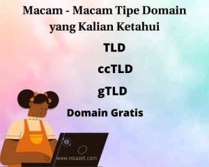 arti kata domain