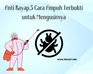 anti rayap dari fumida