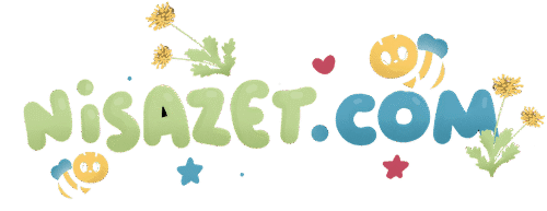 www.nisazet.com