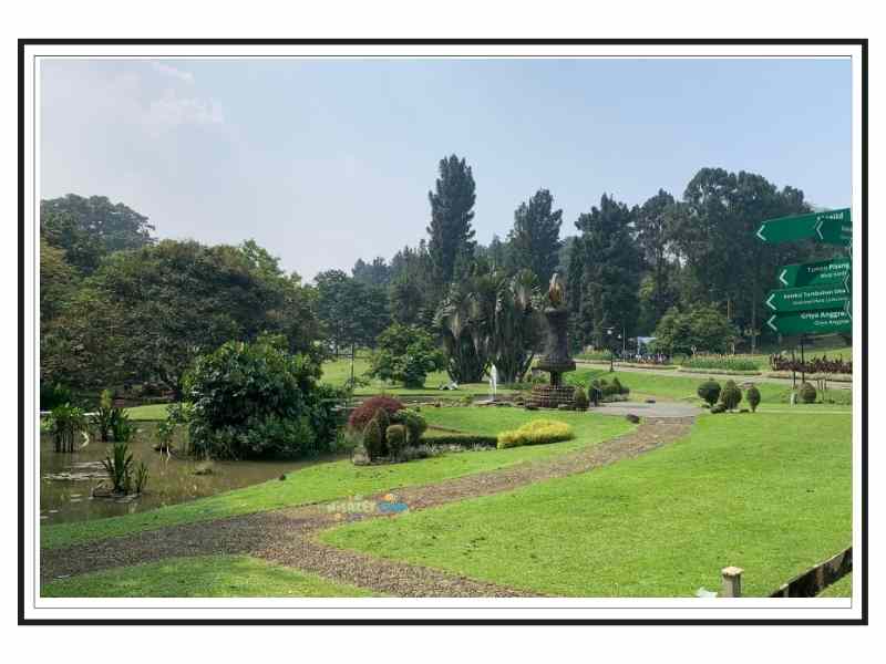 kebun raya bogor